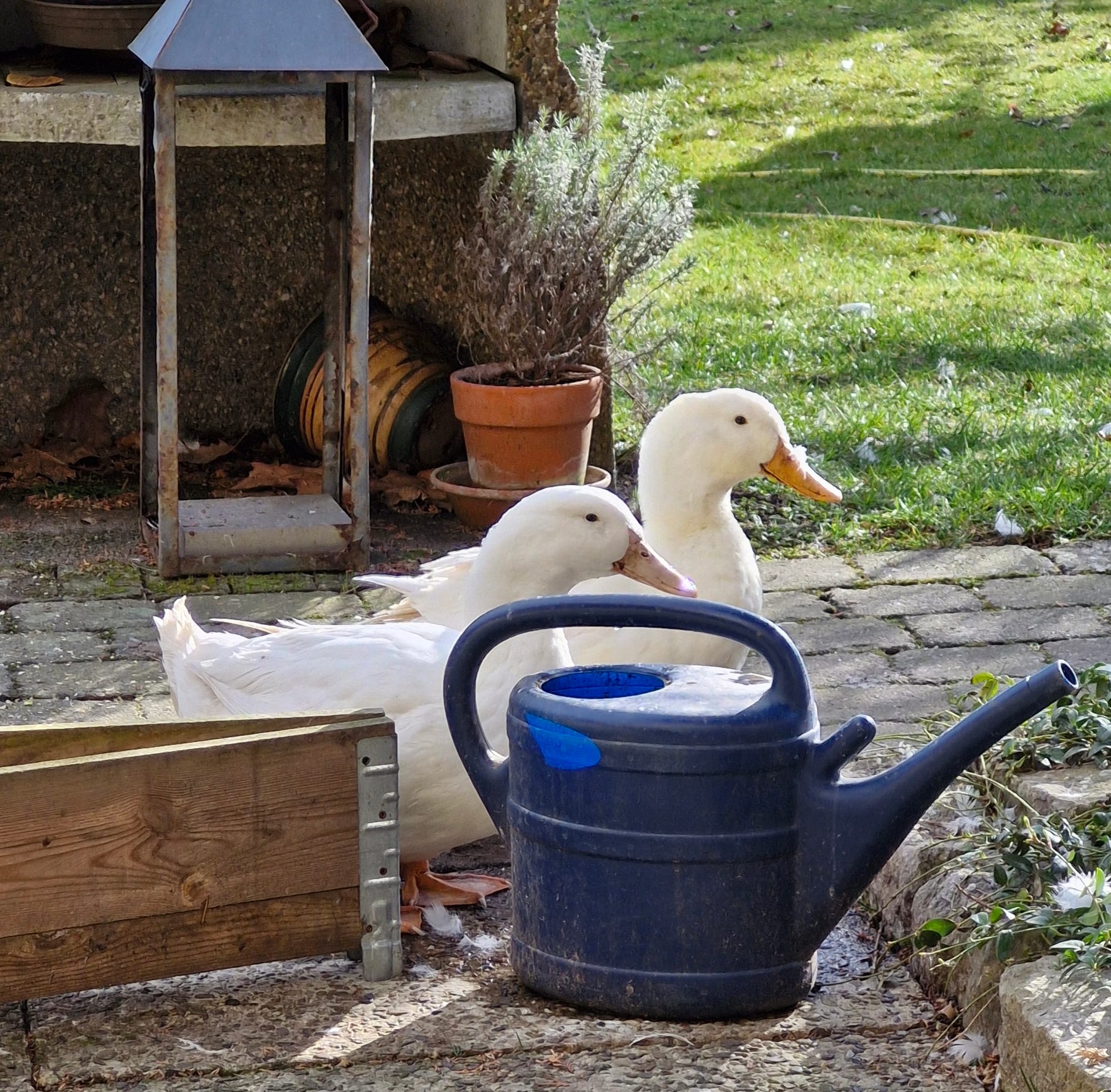 8. Noch mehr Veränderungen