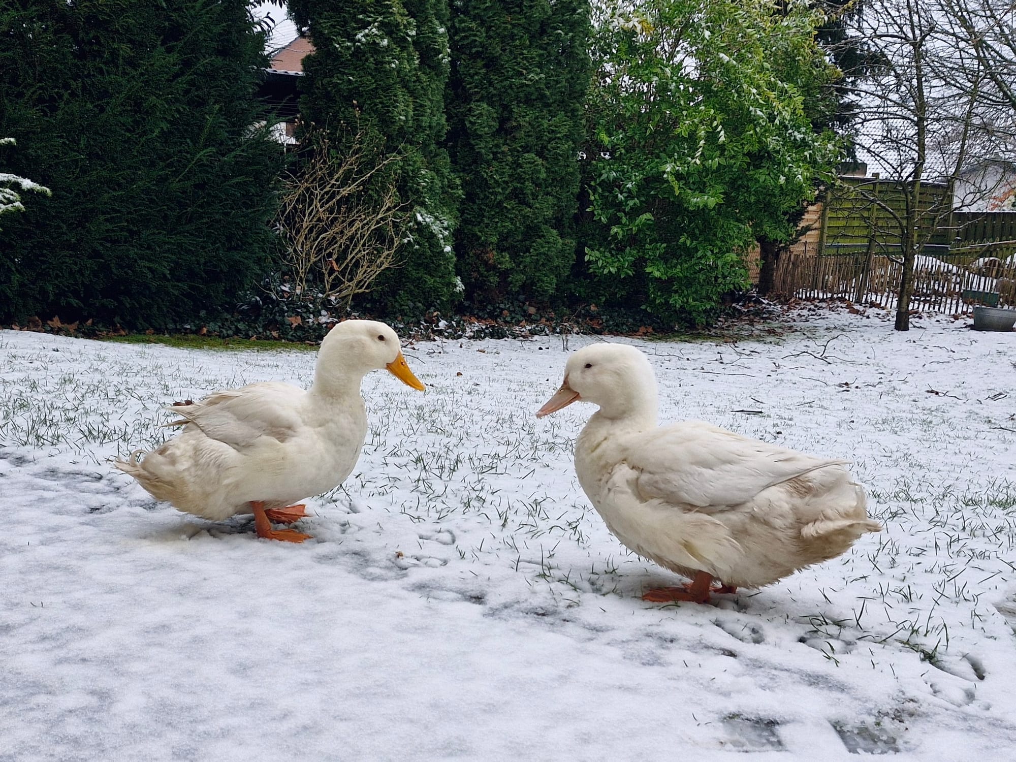 10. Kurios – oder einfach menschlich?