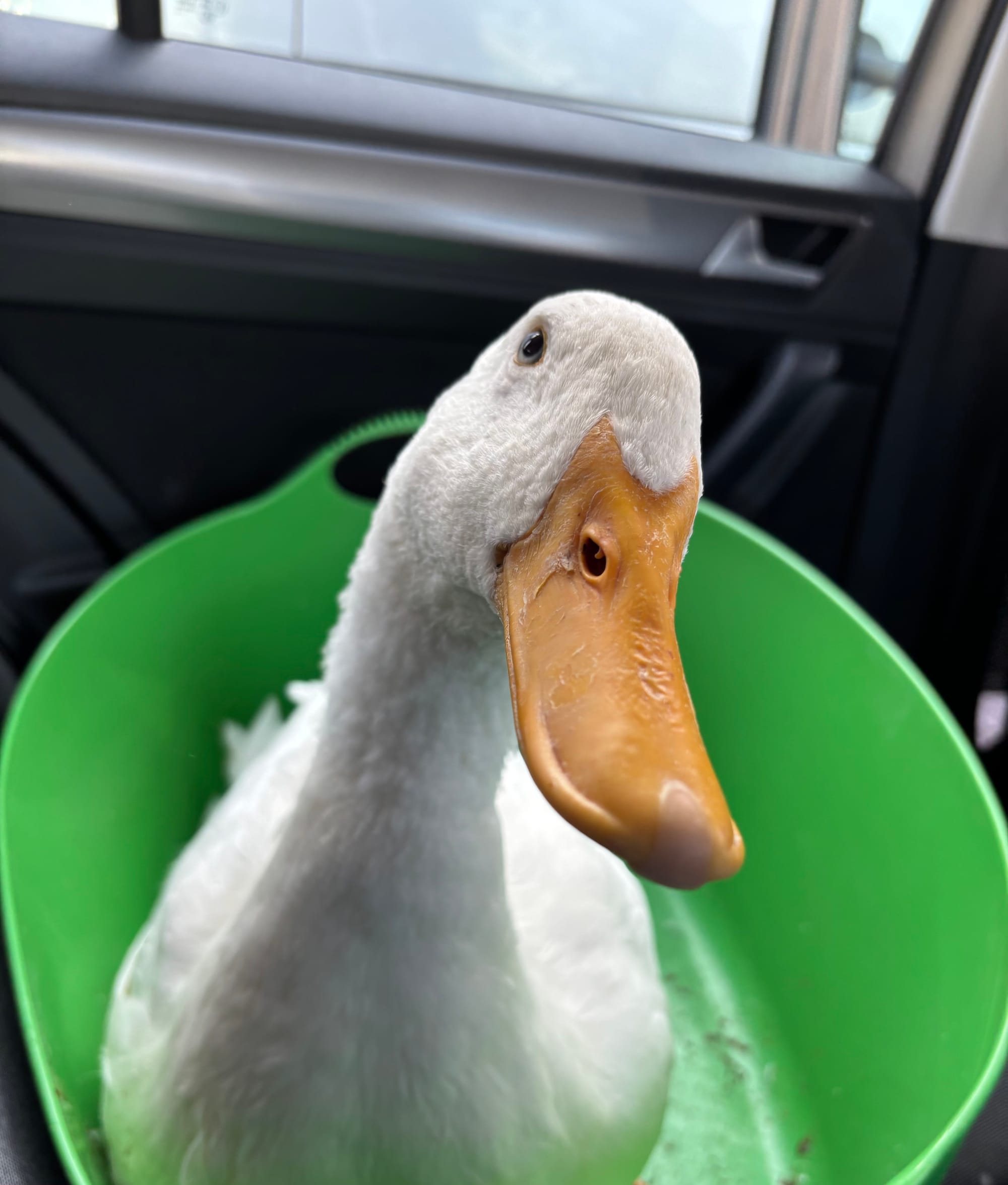 21. Vom Humpeln zum Staunen