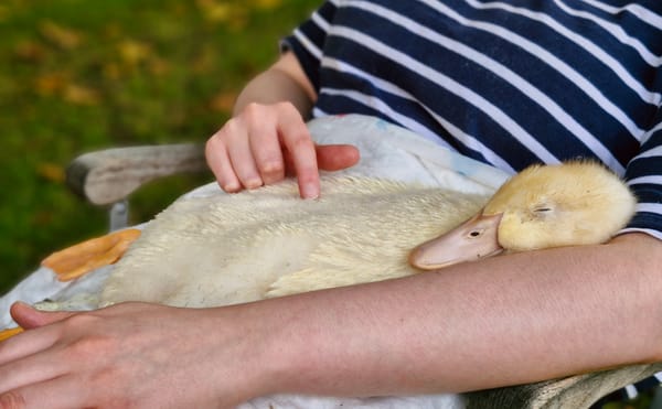 𝟻 Was es mit Hilde und dem Gendern auf sich hat