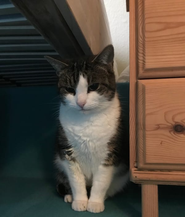 17, 5 Unerreichbar für Trost - ist Gott trotzdem da?